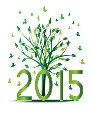 Happy New Year