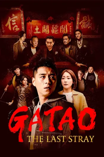 Đầu Đảng Giang Hồ Ngoại Truyện